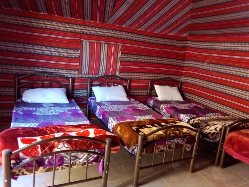 Wadi Rum Moon Camp Eksteriør bilde