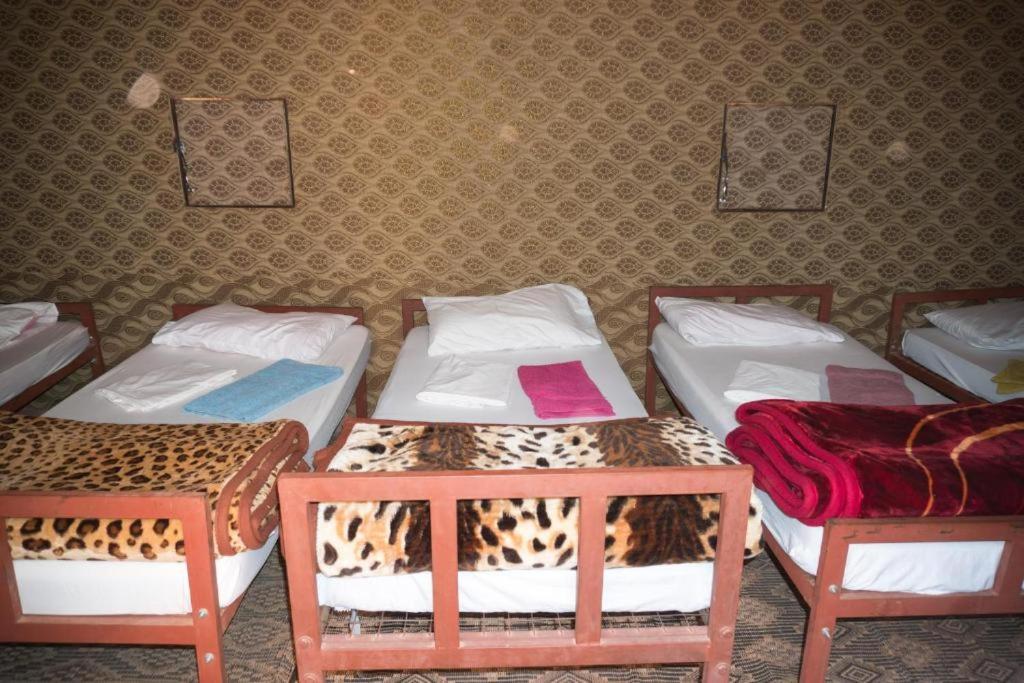 Wadi Rum Moon Camp Eksteriør bilde