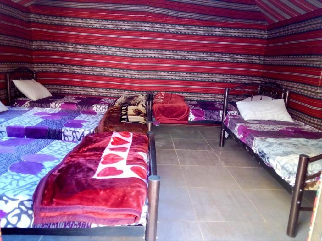 Wadi Rum Moon Camp Eksteriør bilde