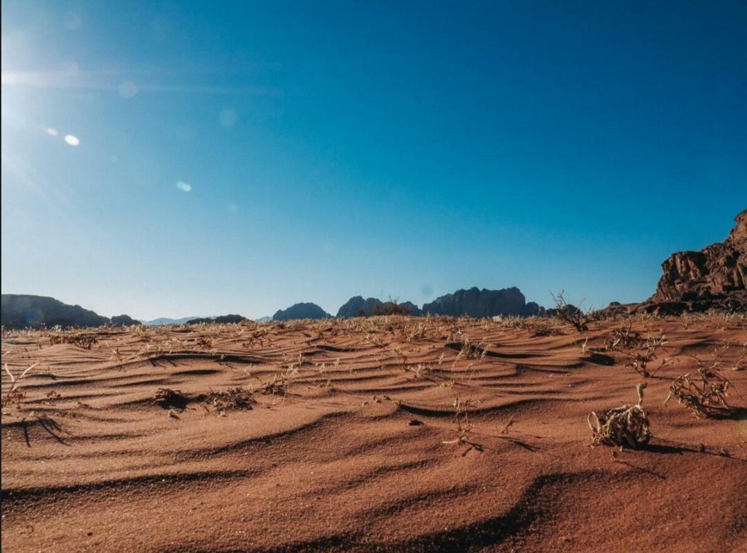 Wadi Rum Moon Camp Eksteriør bilde