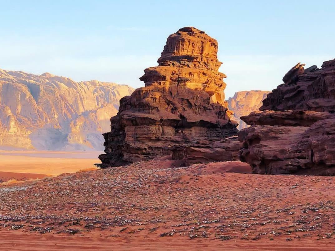 Wadi Rum Moon Camp Eksteriør bilde