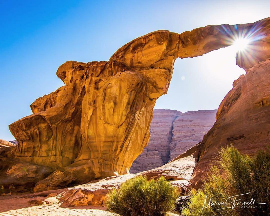 Wadi Rum Moon Camp Eksteriør bilde